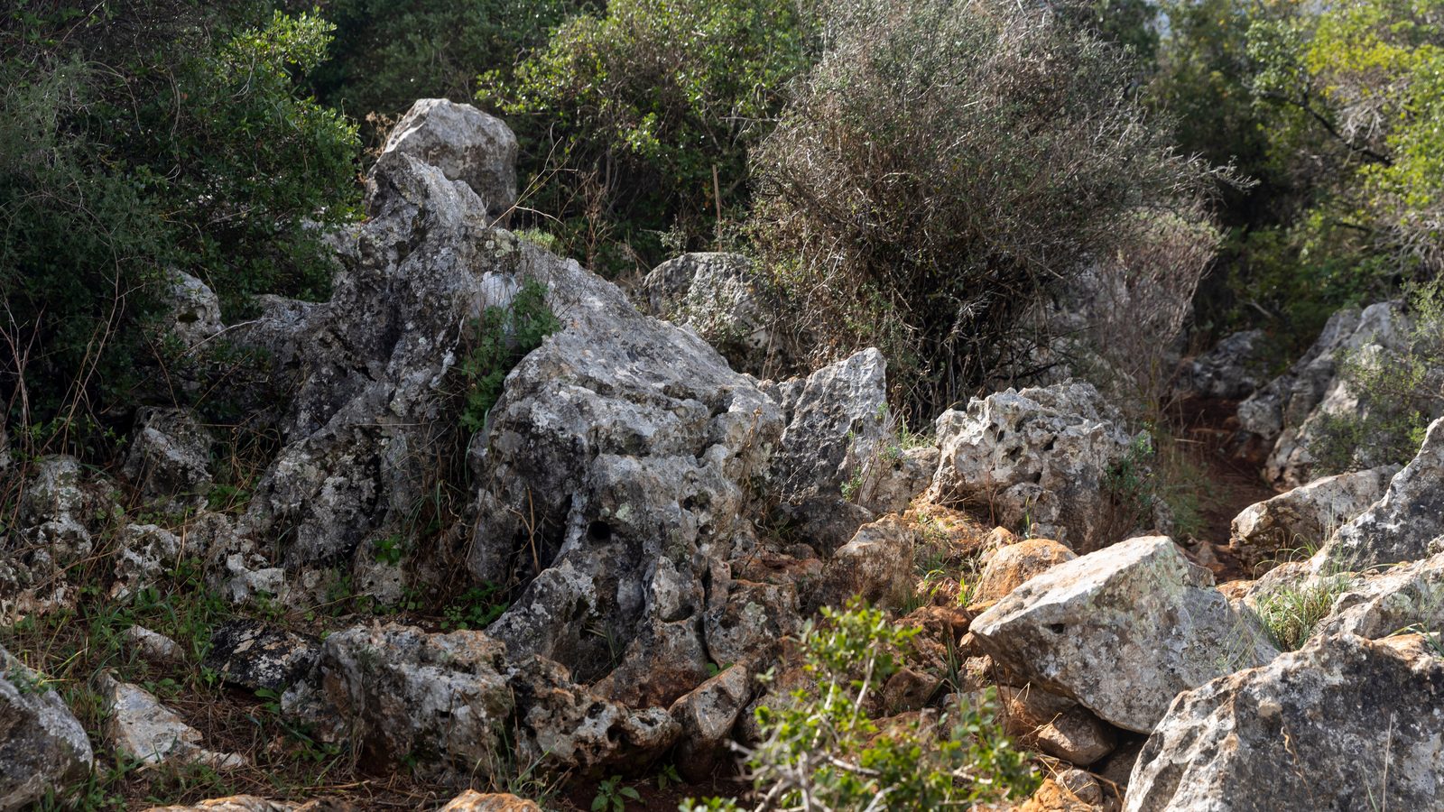 Limestone outcrops and scrub on an open hillside